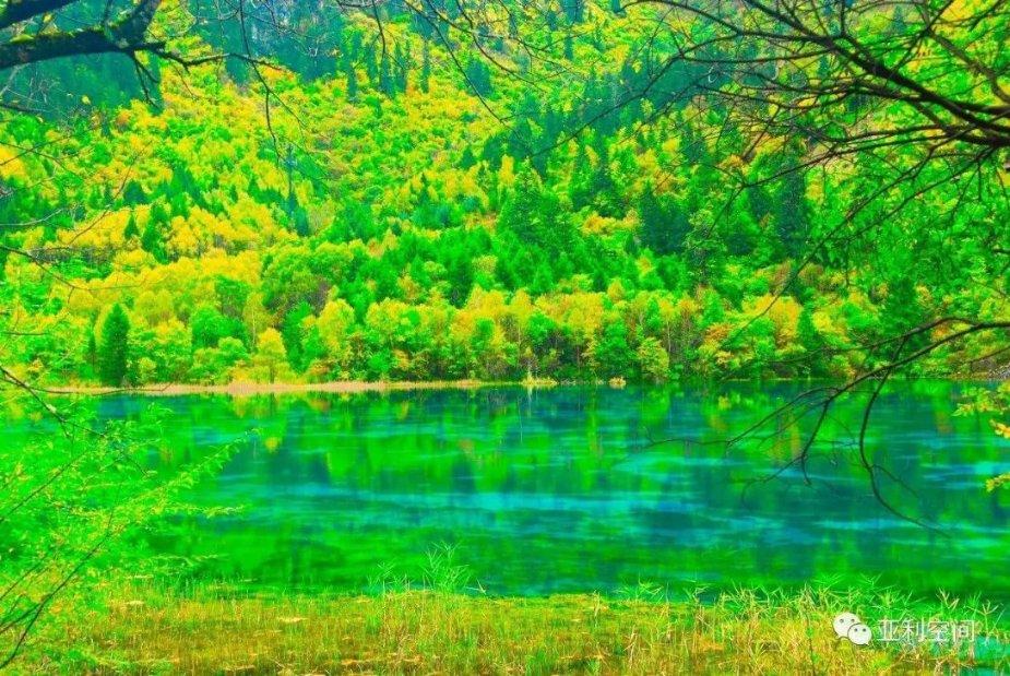 贵州黔西南：让振兴的风拂遍乡村沃野